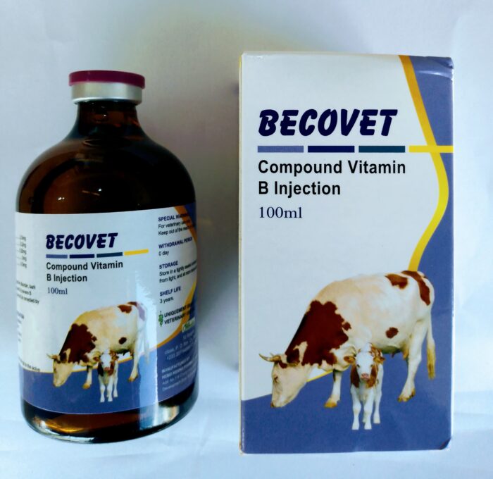 Compound Vitamin B Injection