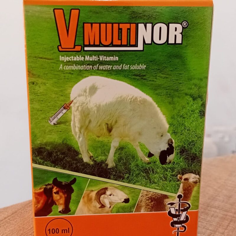 MULTIVITAMIN (V.MULTINOR)