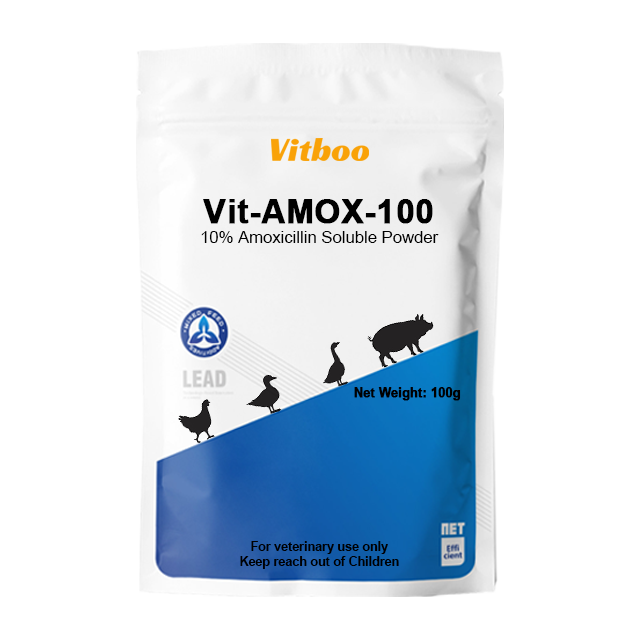 AMOX 100