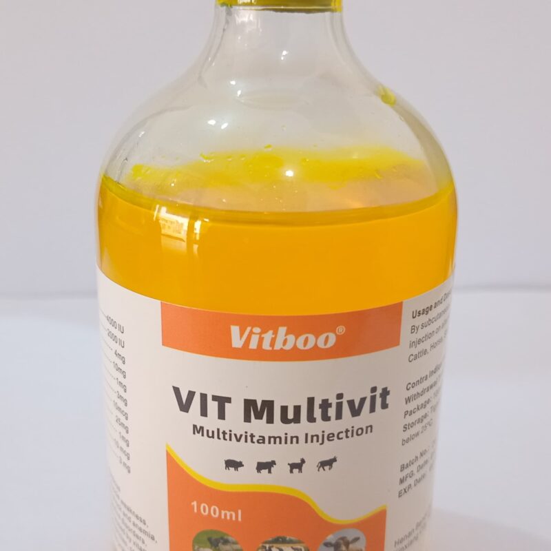 VIT MULTIVIT