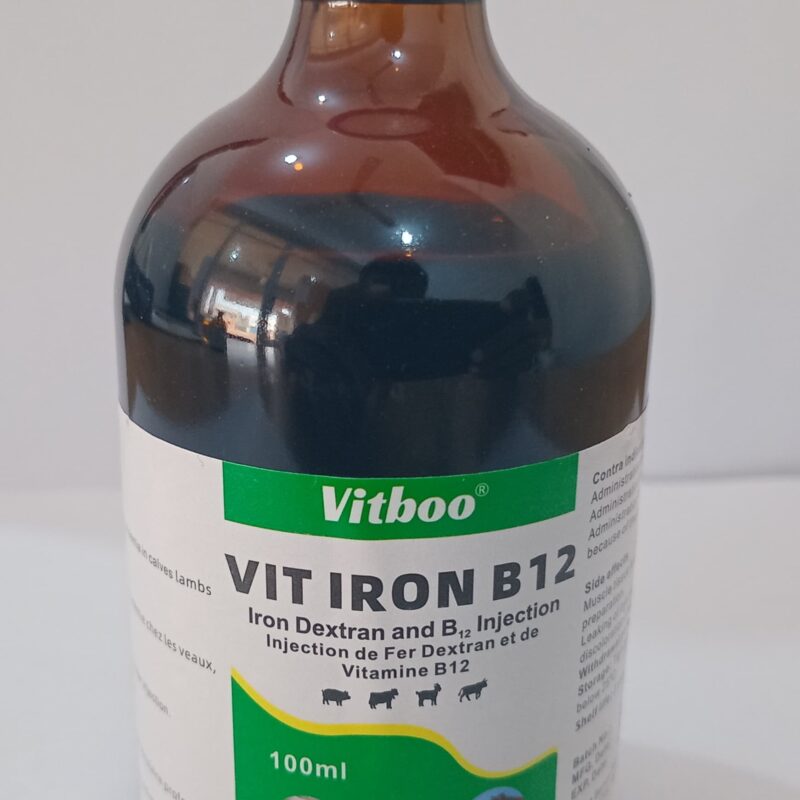 VIT IRON B12